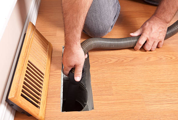 Air Duct Mold Removal in Strawberry Plains, TN